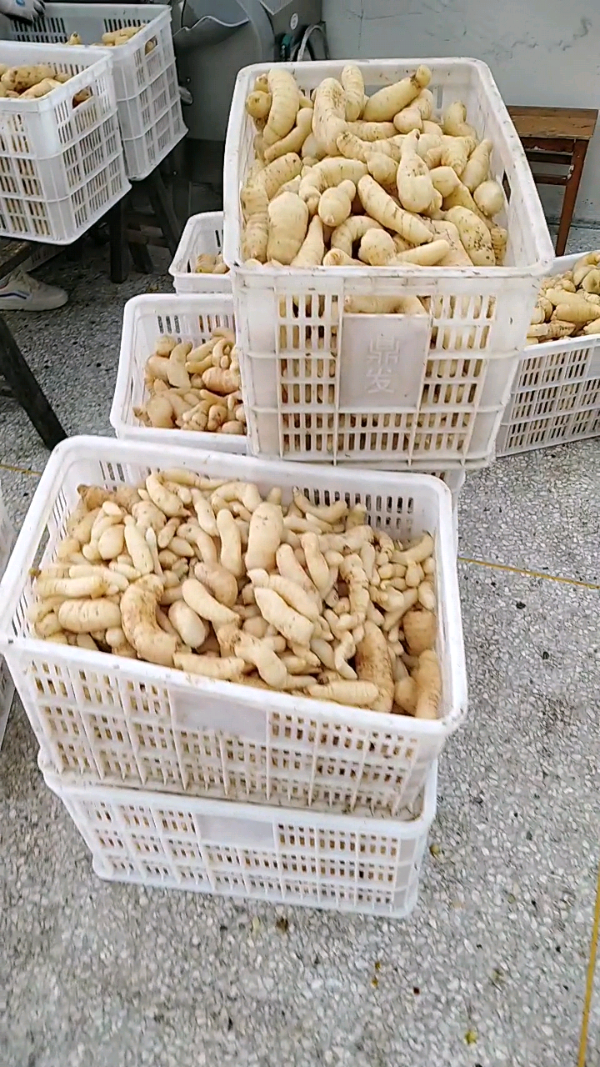 益陽瑪山產(chǎn)業(yè)機械有限公司，湖南益陽螺旋風管廠家，熱風食品烤房