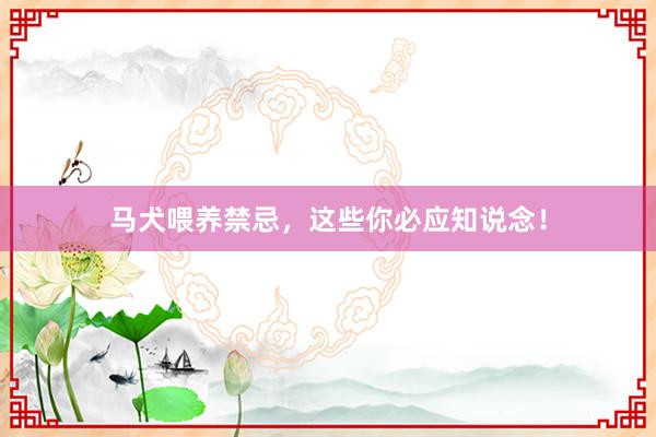 马犬喂养禁忌，这些你必应知说念！