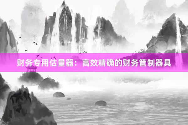 财务专用估量器：高效精确的财务管制器具