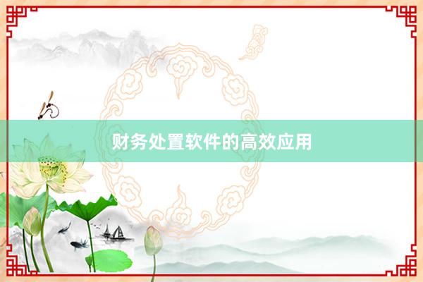 财务处置软件的高效应用